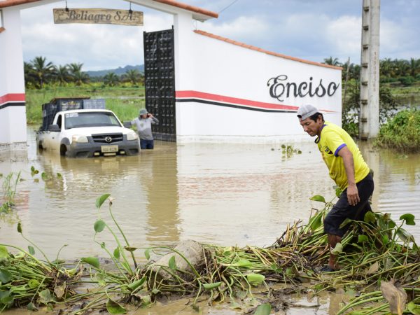Próxima semana se podría iniciar entrega del bono CATTA para agricultores afectados por el invierno