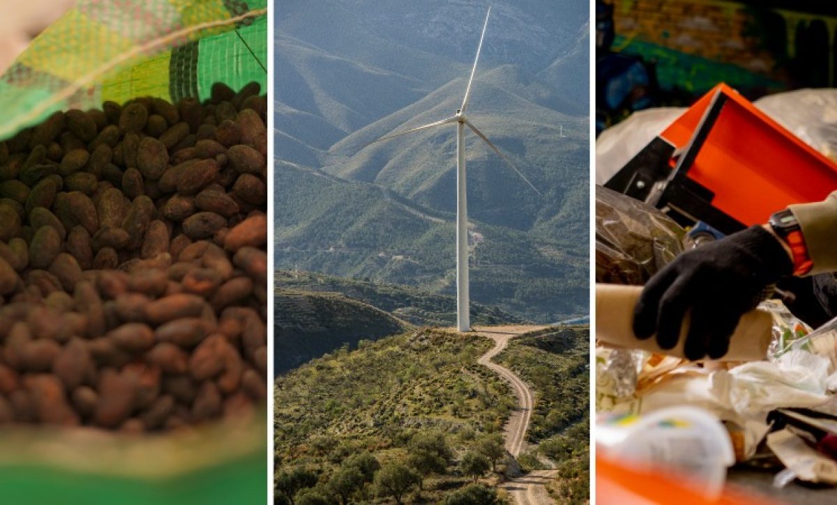 Proyectos de inversión internacional impulsan la producción y energía renovable en Ecuador