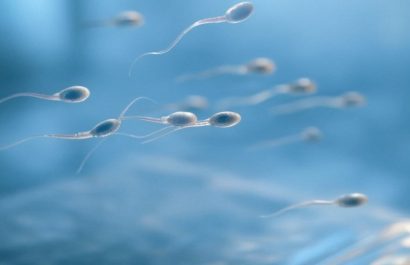 ¿Quién ganará Este viernes se celebrará la primera carrera de espermatozoides de la historia