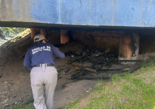 Quito autoridades recaban pruebas tras grave caso de maltrato animal en Carcelén