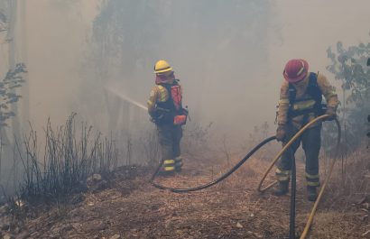 Quito fortalece su preparación contra incendios forestales en 2025