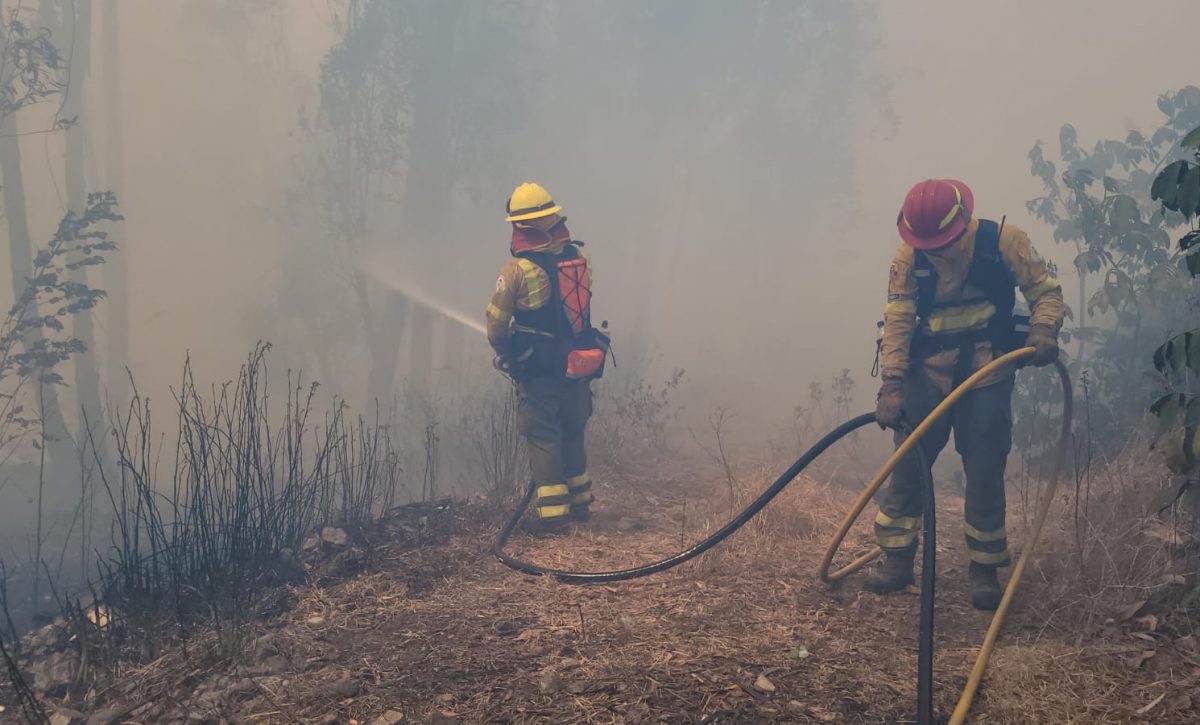 Quito fortalece su preparación contra incendios forestales en 2025