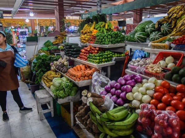 Quito moderniza 53 mercados con obras de repotenciación y regularización de comerciantes by 41