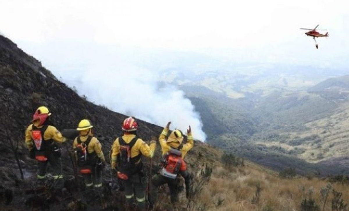Quito refuerza sanciones por incendios: Multas de hasta USD 35.000 y penas de cárcel