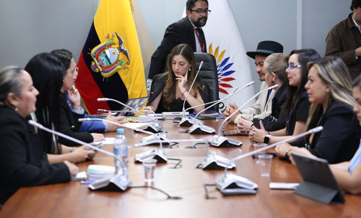 En las comisiones creadas, los asambleístas de RC quedaron relegados.