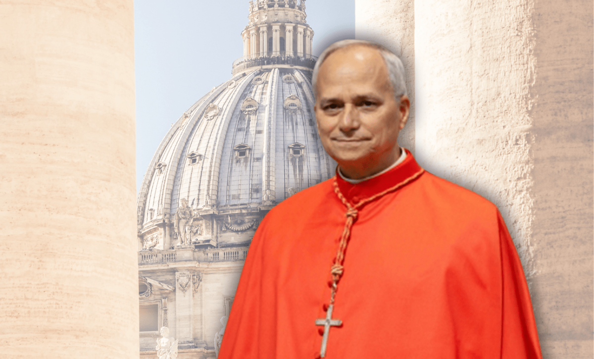 Robert Prevost, el cardenal estadounidense de Chicago que suena como posible sucesor del Papa Francisco