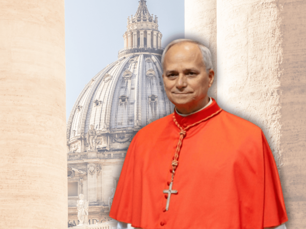 Robert Prevost, el cardenal estadounidense de Chicago que suena como posible sucesor del Papa Francisco
