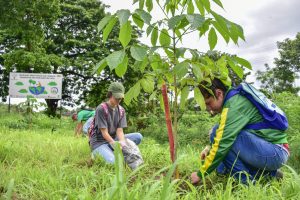 Portoviejo conmemora el Mes del Medio Ambiente con actividades desde el 5 de junio