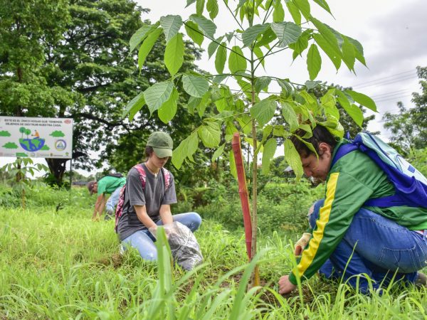 Portoviejo conmemora el Mes del Medio Ambiente con actividades desde el 5 de junio