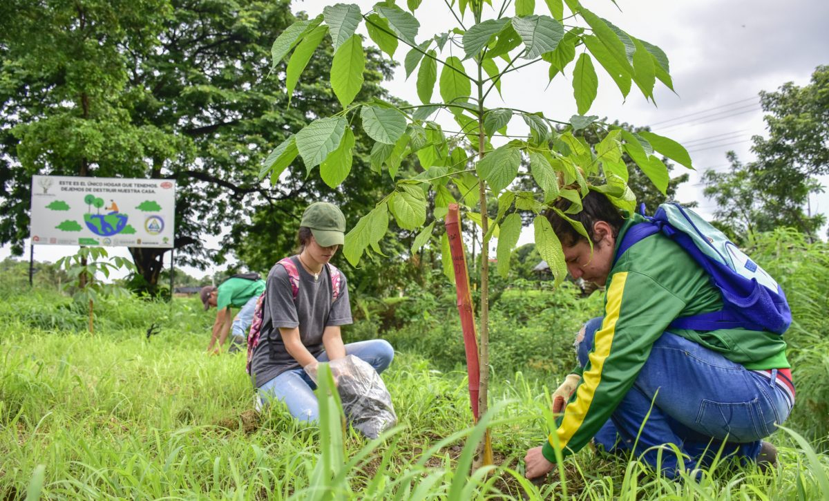 Portoviejo conmemora el Mes del Medio Ambiente con actividades desde el 5 de junio