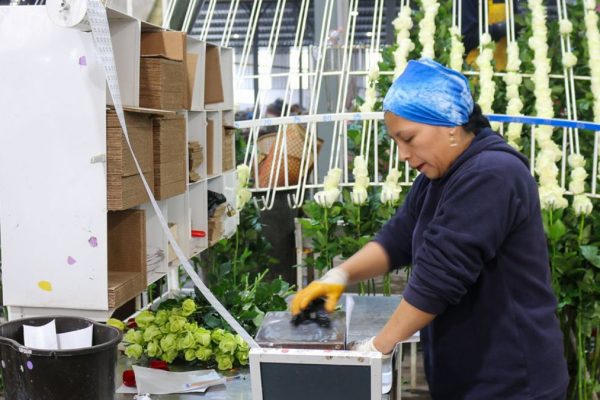 ¿Sabías que si trabajas de 19h00 a 06h00 tu empleador debe pagarte un 25 % de recargo por hora trabajada? (Ministerio de Producción).