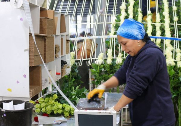 ¿Sabías que si trabajas de 19h00 a 06h00 tu empleador debe pagarte un 25 % de recargo por hora trabajada? (Ministerio de Producción).