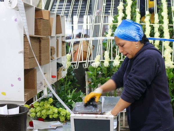 ¿Sabías que si trabajas de 19h00 a 06h00 tu empleador debe pagarte un 25 % de recargo por hora trabajada? (Ministerio de Producción).