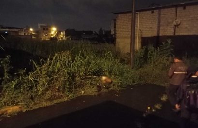 Santo Domingo de los Tsáchilas. Encuentran cadáver de un hombre en la maleza, en la cooperativa Ciudad Nueva