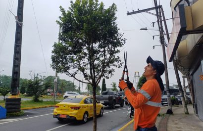 Santo Domingo inicia fiestas con minga ciudadana para embellecer la ciudad