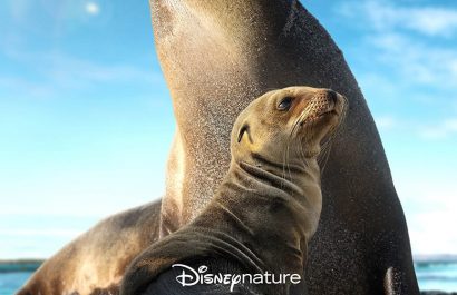 “Sea Lions of the Galápagos” llega a Disney+ para celebrar el Día de la Tierra