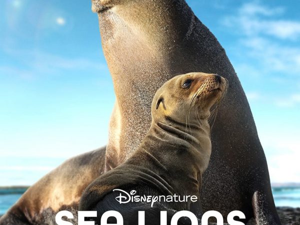 “Sea Lions of the Galápagos” llega a Disney+ para celebrar el Día de la Tierra