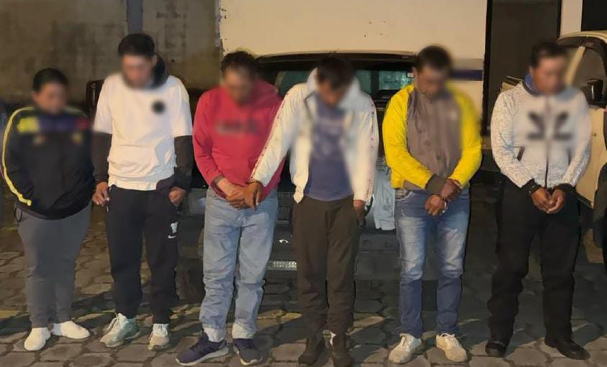 Seis detenidos por asociación ilícita y robo de ganado en Pichincha