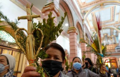Semana Santa: Ministerio de Ambiente de Ecuador pide a los católicos frenar el uso y la comercialización de la Palma de Cera durante el Domingo de Ramos