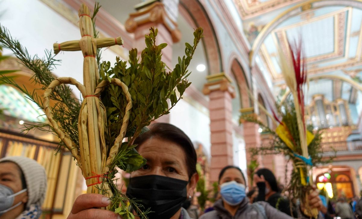 Semana Santa: Ministerio de Ambiente de Ecuador pide a los católicos frenar el uso y la comercialización de la Palma de Cera durante el Domingo de Ramos