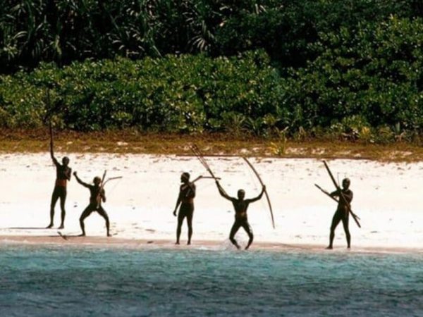 Isla de Queimada Grande