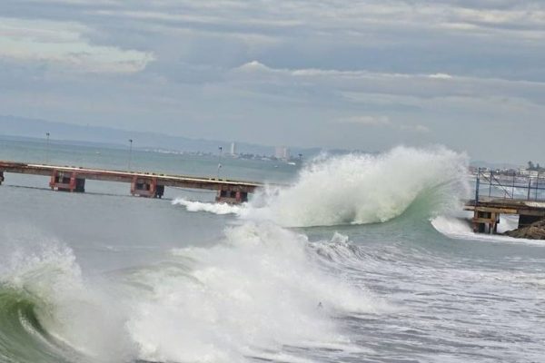 Sociedad Civil contribuye a Ley de Protección de olas en Ecuador