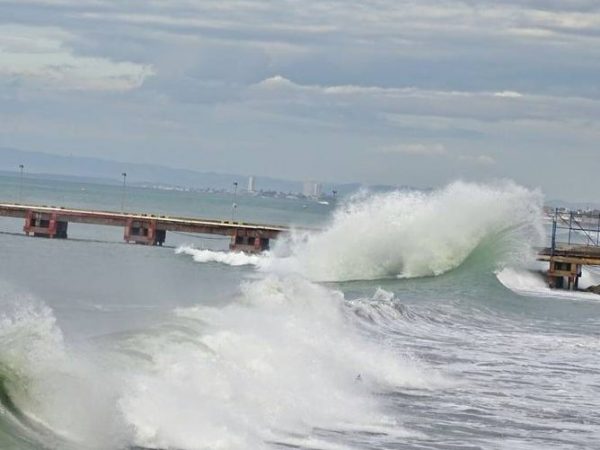 Sociedad Civil contribuye a Ley de Protección de olas en Ecuador