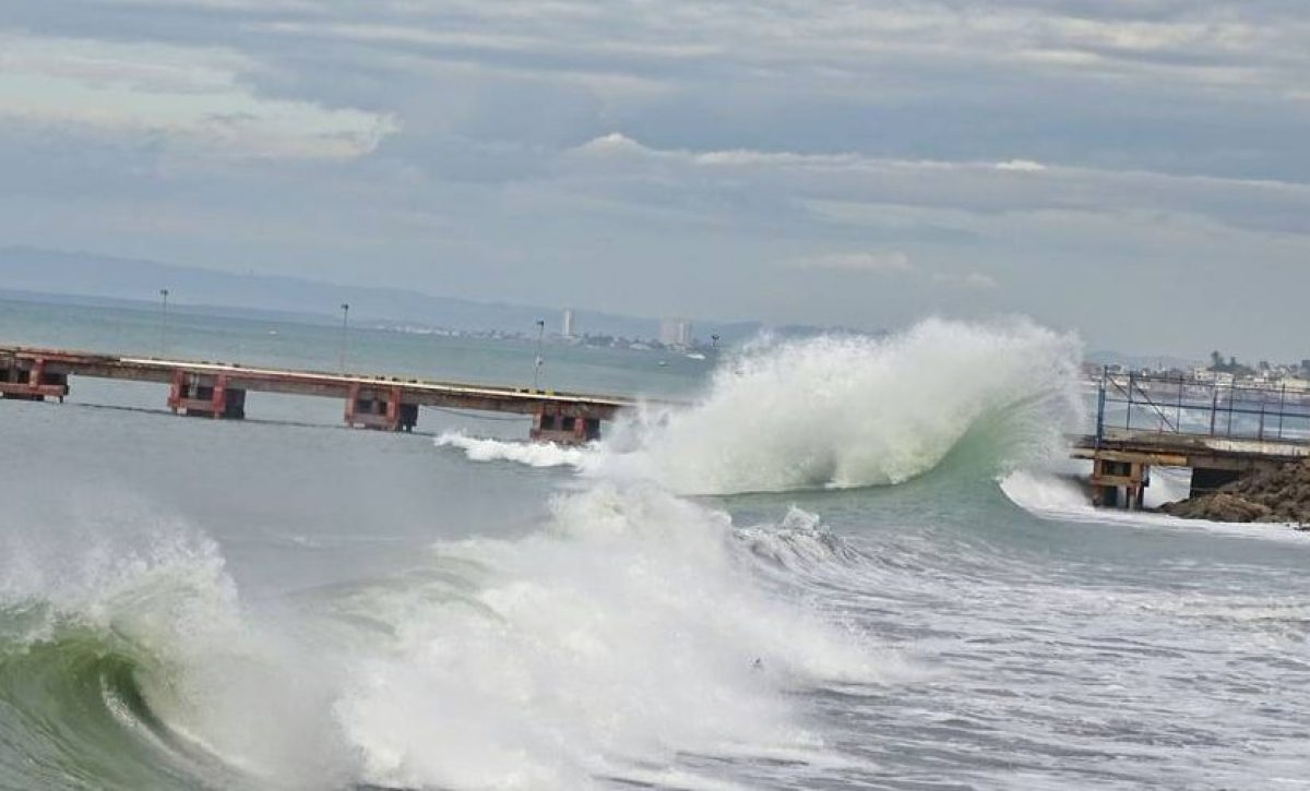 Sociedad Civil contribuye a Ley de Protección de olas en Ecuador
