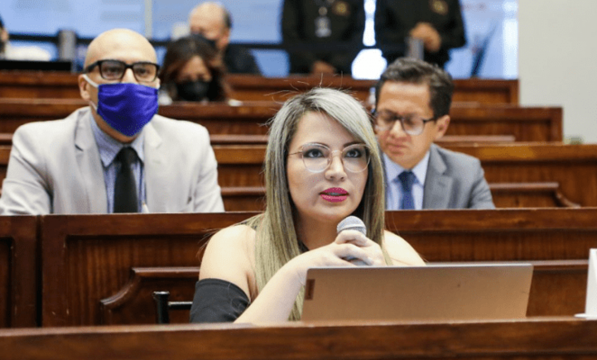 TCE suspendió derechos políticos de Priscila Schettini como asambleísta por violencia de género
