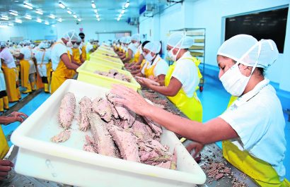 El atún ecuatoriano gana terreno en nuevos mercados