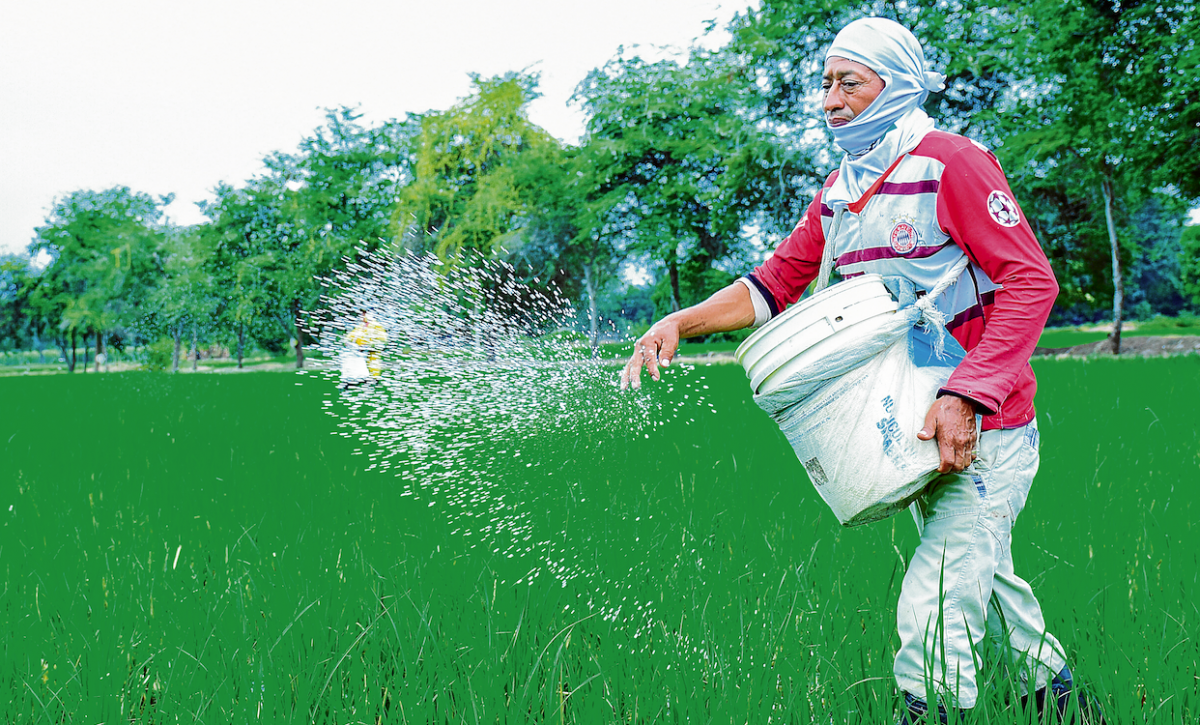 TIERRA FÉRTIL Y PRODUCCIÓN CON FUTURO
