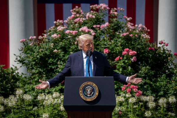 Trump ordena suspender entrevistas de visas para estudiantes extranjeros