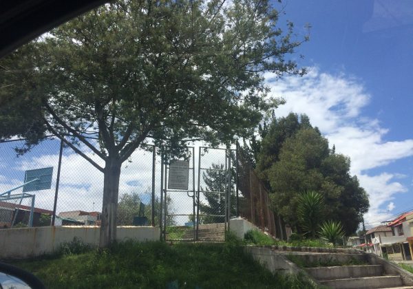 USD 65 mil de inversión para renovar parque La Kennedy en el norte de Quito
