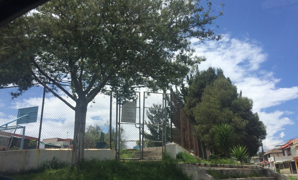 USD 65 mil de inversión para renovar parque La Kennedy en el norte de Quito