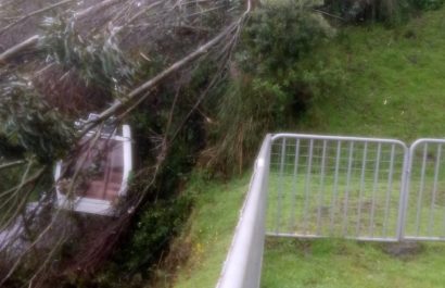 Un árbol cayó sobre el sistema del Teleférico de Quito, afortunadamente no se reportaron personas heridas. Autoridades locales evalúan la situación.