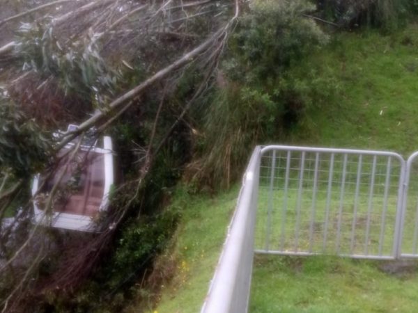 Un árbol cayó sobre el sistema del Teleférico de Quito, afortunadamente no se reportaron personas heridas. Autoridades locales evalúan la situación.