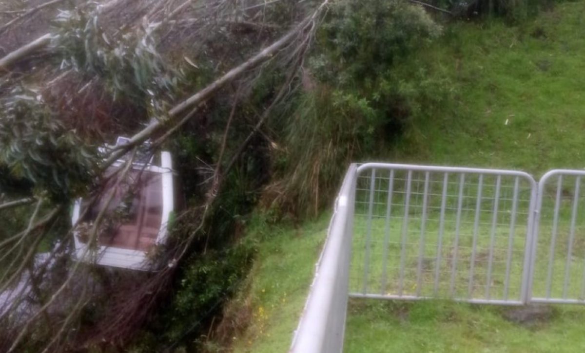 Un árbol cayó sobre el sistema del Teleférico de Quito, afortunadamente no se reportaron personas heridas. Autoridades locales evalúan la situación.