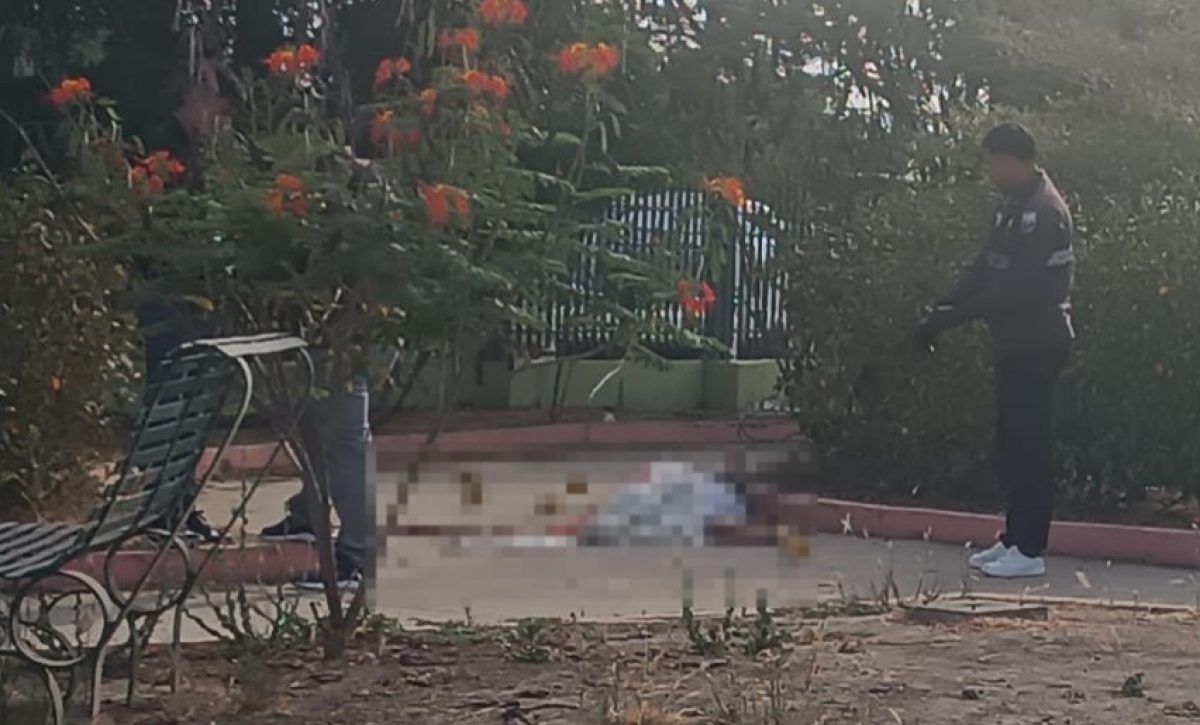 Un hombre identificado como Michel Vera Serrano, de 51 años, resultó asesinado dentro de un parque del sector Jaramisol, cantón Jaramijó.