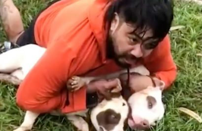 Un luchador brasileño de Muay Thai, Ernesto Chaves, de 33 años, utilizó sus habilidades en artes marciales para sobrevivir al ataque de dos perros de raza pitbull