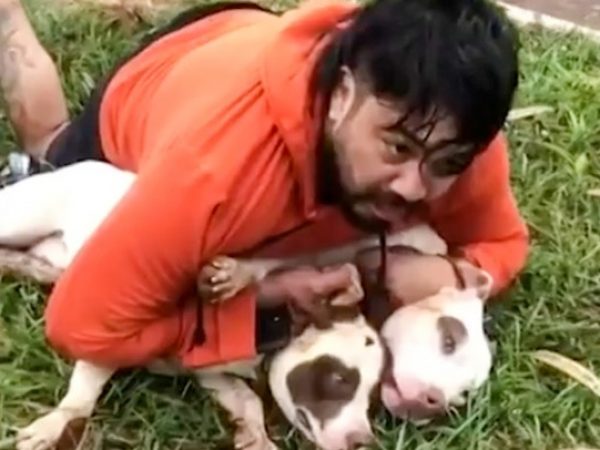 Un luchador brasileño de Muay Thai, Ernesto Chaves, de 33 años, utilizó sus habilidades en artes marciales para sobrevivir al ataque de dos perros de raza pitbull