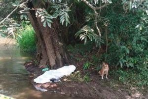 Un padre y su hija murieron junto a sus caballos a consecuencia del impacto de un rayo, sucedió en México.