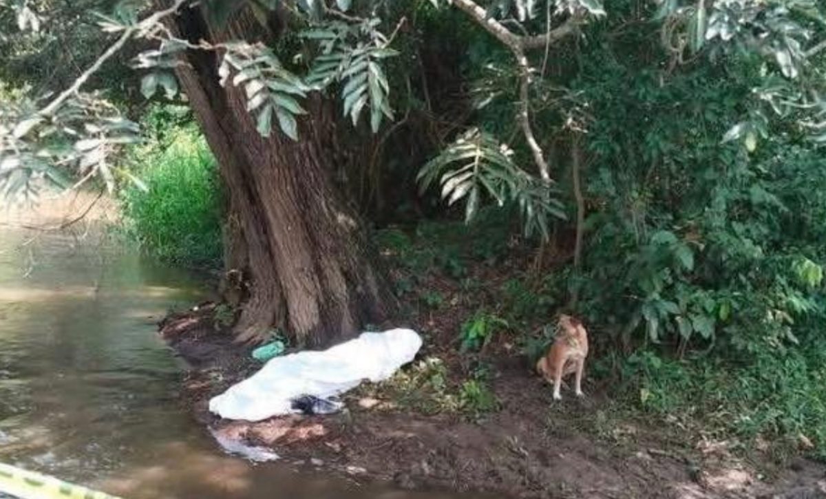 Un padre y su hija murieron junto a sus caballos a consecuencia del impacto de un rayo, sucedió en México.
