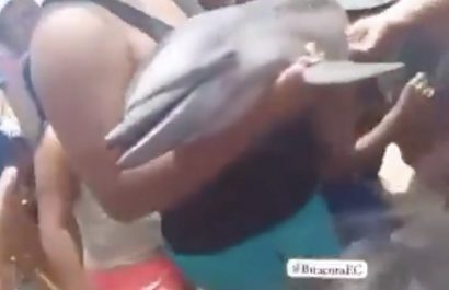 Un pequeño ejemplar de un delfín murió el domingo 27 de abril en el cantón Puerto López, en la provincia de Manabí.