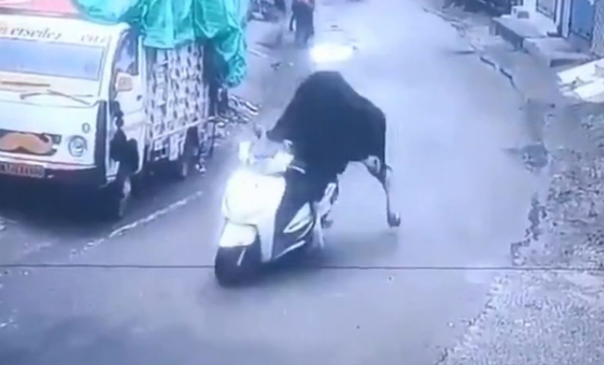 Un toro se 'roba' una motocicleta y queda grabado, el animal protagoniza un video que se viralizó en varias redes sociales. (Internet).