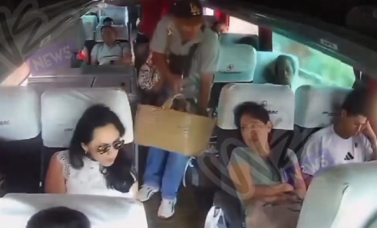 Un vendedor ambulante robó el celular de una pasajera que dormía en un bus interprovincial en la provincia del Guayas.