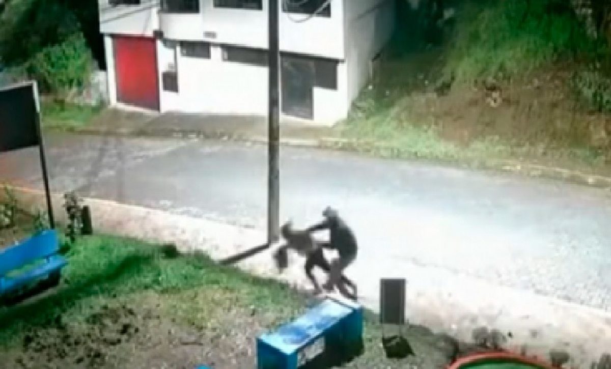 Un violento asalto dejó a una mujer brutalmente agredida por parte de un delincuente en el norte de Quito