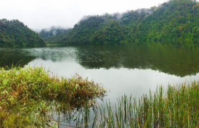 Una ciudad perdida transformó los paisajes en la Amazonia de Ecuador. FOTO: Europa Press.
