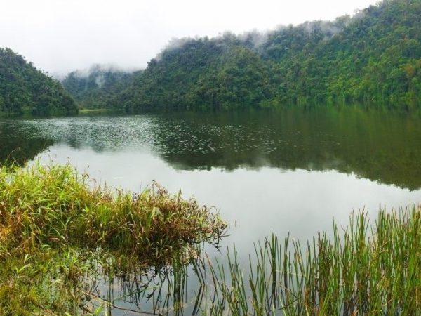 Una ciudad perdida transformó los paisajes en la Amazonia de Ecuador. FOTO: Europa Press.