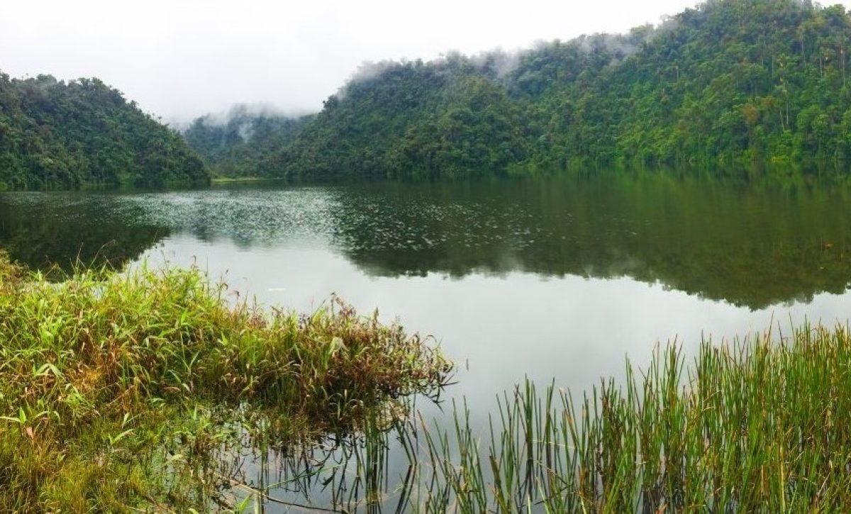 Una ciudad perdida transformó los paisajes en la Amazonia de Ecuador. FOTO: Europa Press.