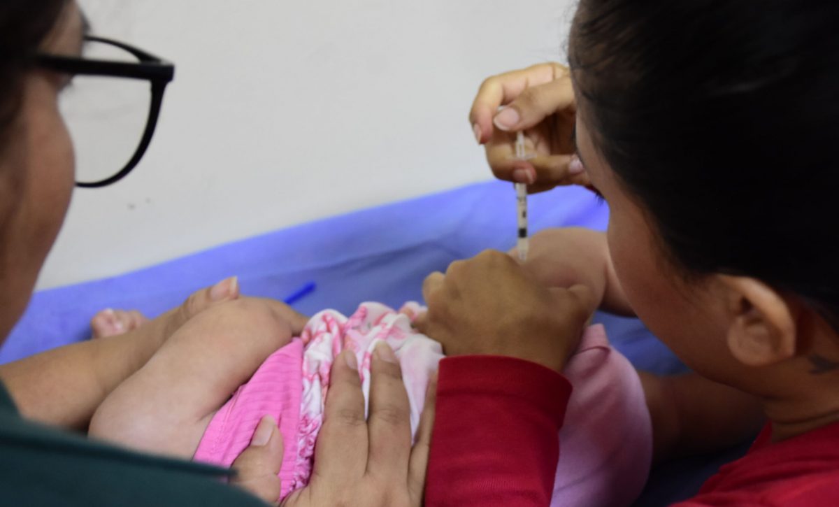 La vacuna hexavalente se aplica a los dos, cuatro y a los seis meses de edad.
